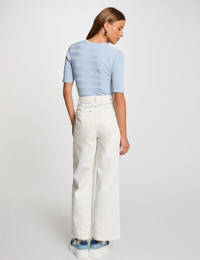 Pull col rond manches courtes bleu ciel femme