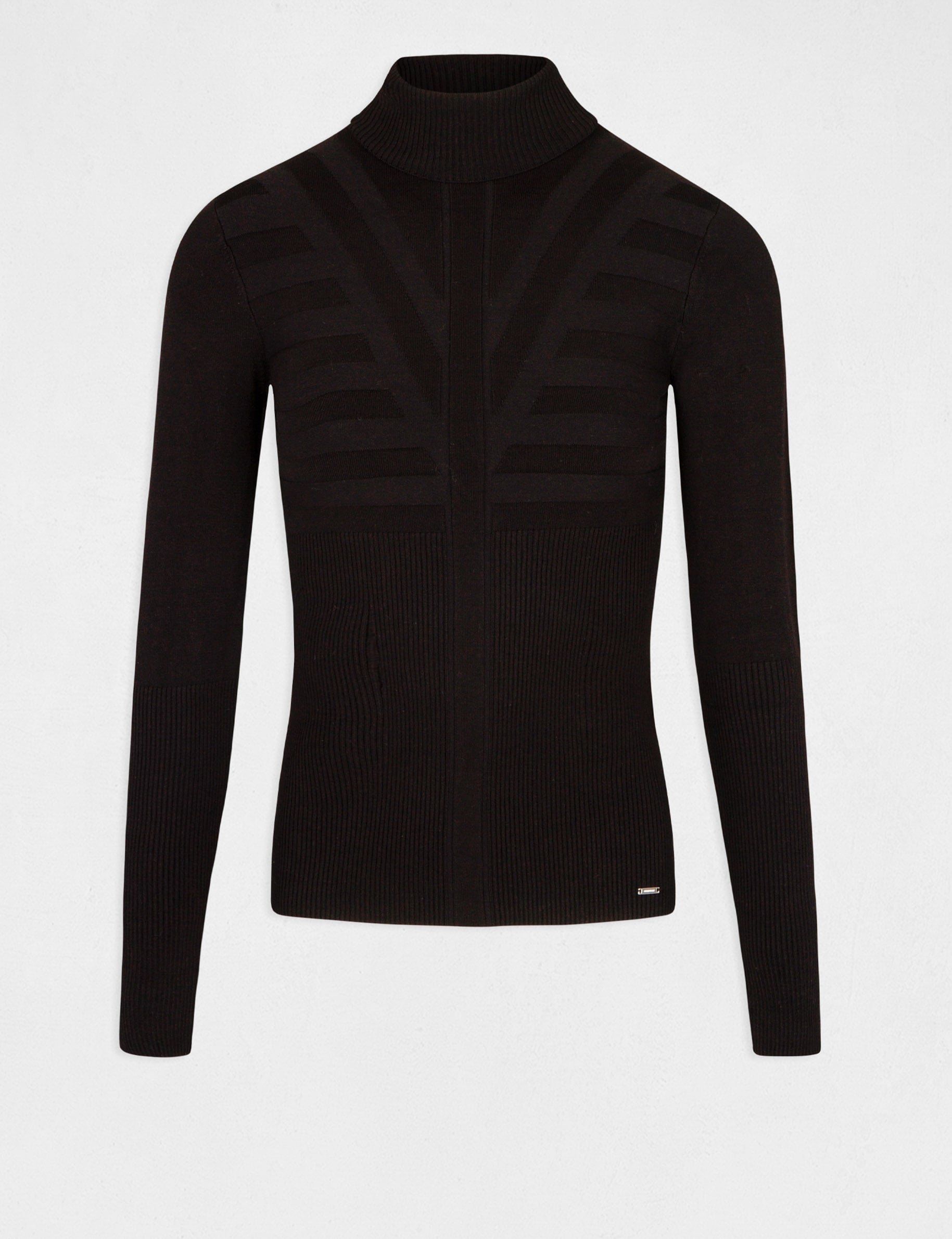 Pull manches longues avec col roul&eacute; noir femme
